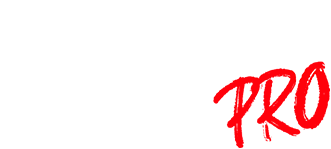 Logo Duslate pro